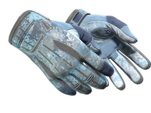 ★ Sport Gloves | Frosty (Field-Tested)